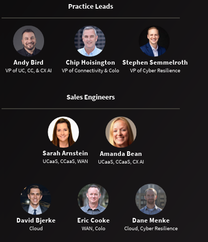 Headshots of practice leads and sales engineers categorized by roles and specialties.
